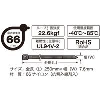 オーム電機 結束バンド リピートロックタイ 250mm 耐候 黒 10本入 RPT-250W10BK 1個
