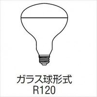 屋外投光用アイランプ 散光形 110V 200W形 E26口金 RF110V180WH 岩崎電気（直送品）