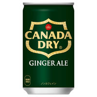 【炭酸飲料】　カナダドライ ジンジャーエール 160ml 1セット（60缶）