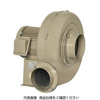 昭和電機 トップランナーモータ(IE3)搭載コンパクトシリーズ(Eタイプ) ECー63SーR3A3 EC-63S-R3A3 1個（直送品）