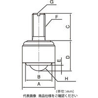 フリーベアコーポレーション Dーtype Sー4D 1個（直送品）