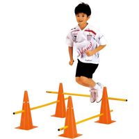 エバニュー マウンテンポール運動遊びセット ETE140 1組