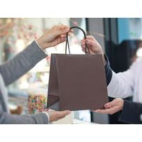 ベルベ 手提げ 紙袋 マットバッグ SS ブラウン 1081 1包：100枚（10×10）（直送品）