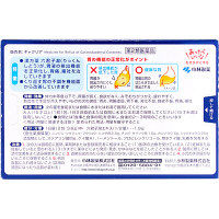 ギャクリア 10包 小林製薬【第2類医薬品】