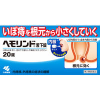 ヘモリンド舌下錠 20錠 小林製薬【第2類医薬品】