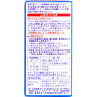 のどぬ～るスプレーEXクール 15ml 小林製薬【第3類医薬品】