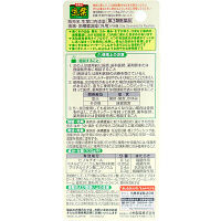 生葉口内塗薬 20g 小林製薬【第3類医薬品】