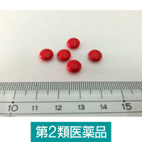 ファイチ 60錠 小林製薬【第2類医薬品】