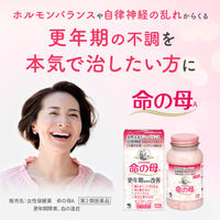 命の母A 840錠 小林製薬【第2類医薬品】