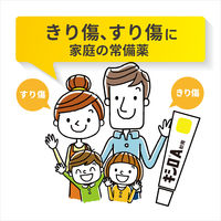 キシロA軟膏 10g 第一三共ヘルスケア 殺菌消毒薬 きり傷・すり傷・くつずれ・皮膚の殺菌消毒【第2類医薬品】