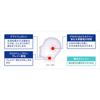 エスエスブロン液L 120ml エスエス製薬【第2類医薬品】
