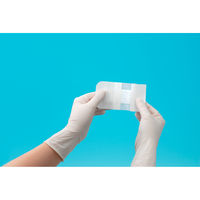 共和 粘着パッド No.50 YB-G5080 1箱（50枚入）