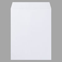 マルアイ 藤壺パック 角5 80G ホワイト PK-5W 10セット（1パック（12枚入）×10）