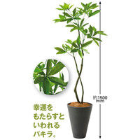 プリマ 人工樹木 パキラ グレープランター 1鉢（直送品）