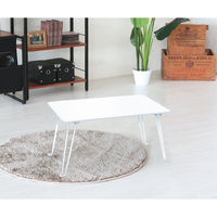 永井興産 クールテーブル(60) WH（ホワイト）幅600×奥行400×高さ315mm　NK-677　1台（直送品）