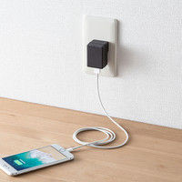 サンワサプライ USB充電器(1A・高耐久タイプ) ACA-IP55BK 1個（直送品）