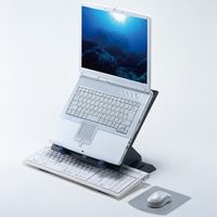 サンワサプライ ノートPCスタンド ダークグレー 4段階角度調整機能付き/小物収納トレー(本体背面)付 CR-35 1個（直送品）