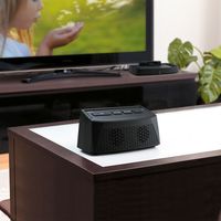 サンワサプライ テレビ用ワイヤレススピーカー MM-SPTV2BK 1個（直送品）