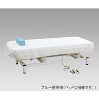アズワン ローポジション電動診察台用 枕（ホワイト）・シーツセット SET-W 1セット 8-2657-11（直送品）