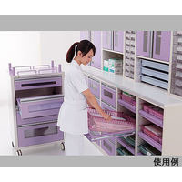 アズワン アルティアトールユニットスタンダードトレー用追加用耐荷重レール(NTー460用) SLR-400 1式 0-5719-21（直送品）