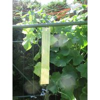 コンパル わたしの防鳥 5セット組 10110042 1セット(5個入)