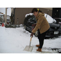 コンパル アルミ雪スコ 角型 192857（直送品）