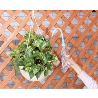 コンパル リサイクル伸びたくん 63065 1個