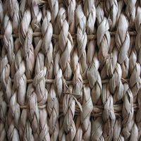 コンパル 滑り止マット 幅50cm×長さ3m 78183 1個