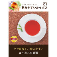 リプトン ヘルシースタイル アップルルイボス ティーバッグ 1セット（45バッグ：15バッグ入×3個）