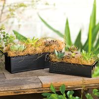 ヘッズ ファイバーパッキン-ココナッツ FIP-CCN 1セット（10個：1個×10パック）