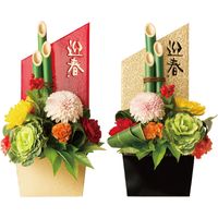 ヘッズ 迎春ペーパートレイ-黒金 GS-GTB 1セット（20枚：10枚×2パック）（直送品）