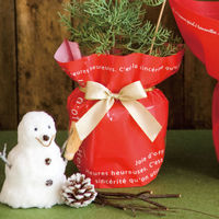 ヘッズ ワンタッチゴムリボン-シャインゴールド OGR-SGO 1セット（150個：30個×5パック）（直送品）