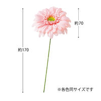 ヘッズガーベラフルリールーS/ベビーピンクー1 1セット（60本：12本×5パック）