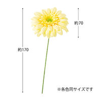 ヘッズガーベラフルリールーS/ベビーイエローー2 1セット（60本：12本×5パック）