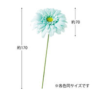 ヘッズガーベラフルリールーS/ベビーブルーー3 1セット（60本：12本×5パック）