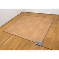 木目調フローリングホットカーペット3畳 幅1950mm 奥行2350mm（直送品）