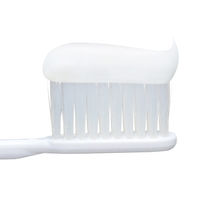 歯磨き粉 フッ素 システマEX ハミガキ メディカルクール 130g 歯周病予防 ライオン