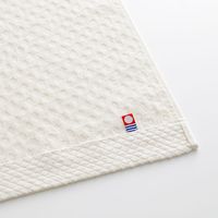 大同 憩 ITSIKI20BE FT 2P 逸織タオル IT-665665 1箱