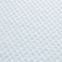 大同 憩 ITSIKI20BL FT 2P 逸織タオル IT-665733（直送品）