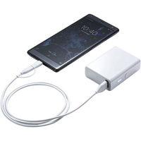 サンワサプライ モバイルバッテリー（5200mAh） BTL-RDC13W 1個（直送品）