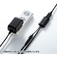 サンワサプライ 5m延長USB3.1 Type C-Type Cアクティブリピータ KB-USB-RCC305 1個（直送品）