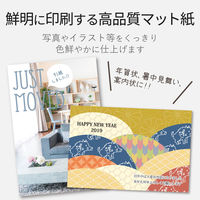 ELECOM ハガキ用紙/スーパーファイン/特厚/50枚 EJH-TSF50 1個（50枚入）（直送品）