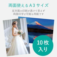 ELECOM スーパーファイン紙/高画質用/超特厚/両面/A3/10枚 EJK-SRCTPA310 1個（10枚入）