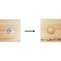 ダンドリビス ビスキャップ M15パールホワイト ブリスターパック 4920125714858 1パック（20個入）（直送品）