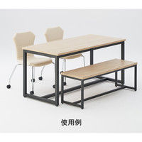 【軒先渡し】アスプルンド アスプルンド ブラックフレームベンチ W1200 幅1200×奥行295×高さ405mm 1台（直送品）