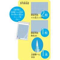 呉竹 水書筆ぺんで書くすいしょ練習セット KN37-51 1セット