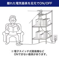 朝日電器 フットスイッチ 2M WFS-200B(W) 1個