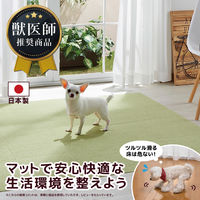 サンコー ペット用撥水タイルマット 同色40枚入り グリーン KP-55 1パック