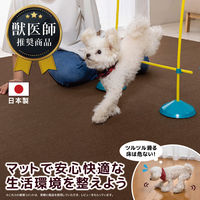 サンコー ペット用撥水タイルマット 同色40枚入り ブラウン KP-58 1パック