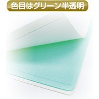 共栄プラスチック ORIONS 硬筆用ソフト透明下敷 B4 オレフィン NO.120 NO.12022 1セット(2枚)